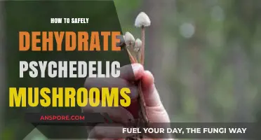 Safe Dehydration Techniques for Psychedelic Mushrooms: A Comprehensive Guide