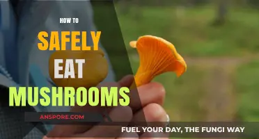 Safely Enjoying Mushrooms: A Beginner's Guide to Foraging and Cooking