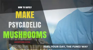 Safe Psychedelic Mushroom Cultivation: A Step-by-Step Guide for Beginners