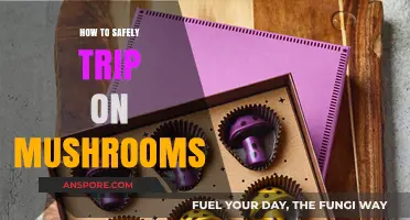 Safe Mushroom Tripping: A Beginner's Guide to Psychedelic Exploration