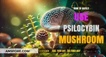 Safe Psilocybin Use: A Comprehensive Guide to Mushroom Exploration