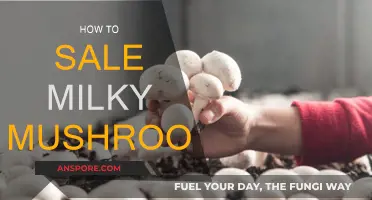 Milky Mushroom Sales: Strategies for Success