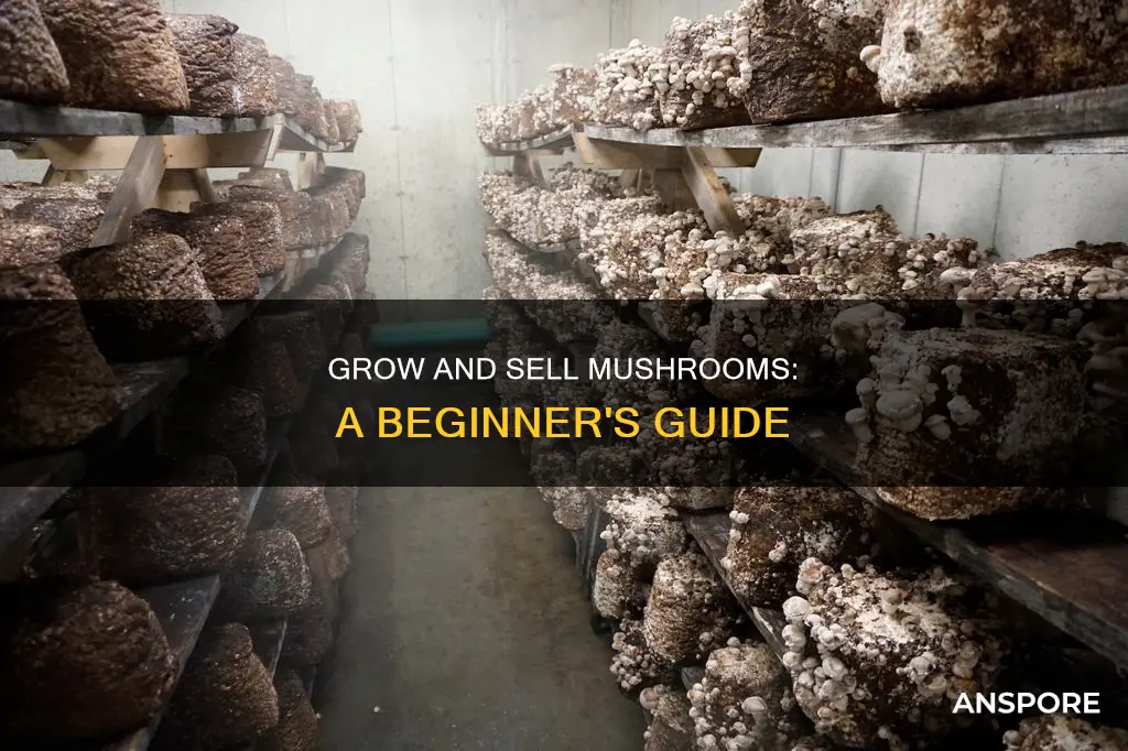 how to sale mushroom