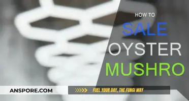 Grow and Sell Oyster Mushrooms: A Beginner's Guide