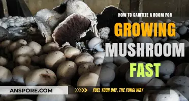 Quick Mushroom Room Sanitization: Essential Steps for Fast, Healthy Growth