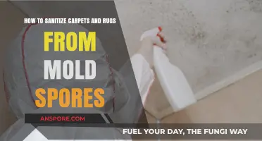 Effective Carpet and Rug Sanitization: Eliminating Mold Spores Safely