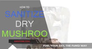 Sanitizing Dry Mushrooms: A Step-by-Step Guide