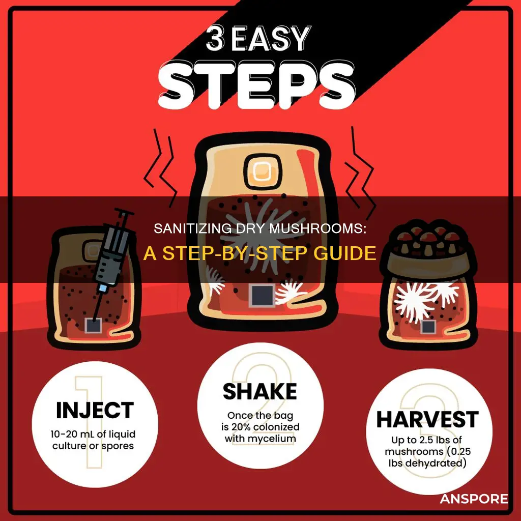 how to sanitize dry mushrooms