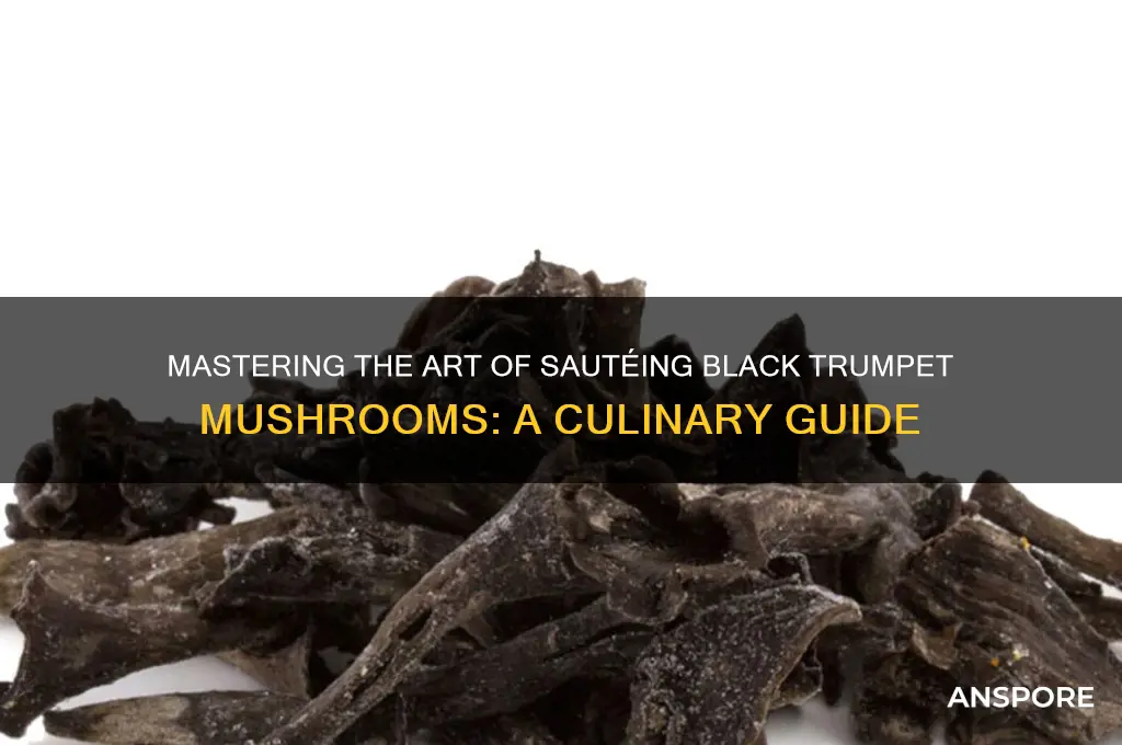 how to saute a black trumpet mushroom