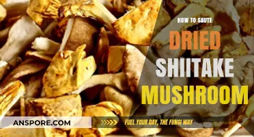 Mastering the Art of Sautéing Dried Shiitake Mushrooms: A Flavorful Guide