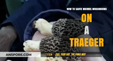 Mastering Traeger Sauté: Perfectly Cooked Morrel Mushrooms Every Time