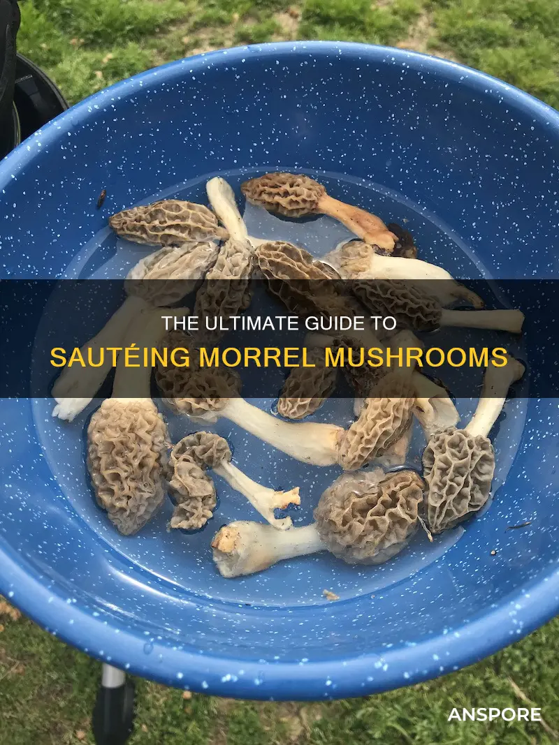 how to saute morrel mushrooms