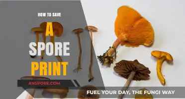 Mastering Spore Print Preservation: A Step-by-Step Guide for Mushroom Enthusiasts