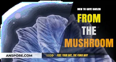 Saving Baelen: Effective Strategies to Combat the Mushroom Invasion