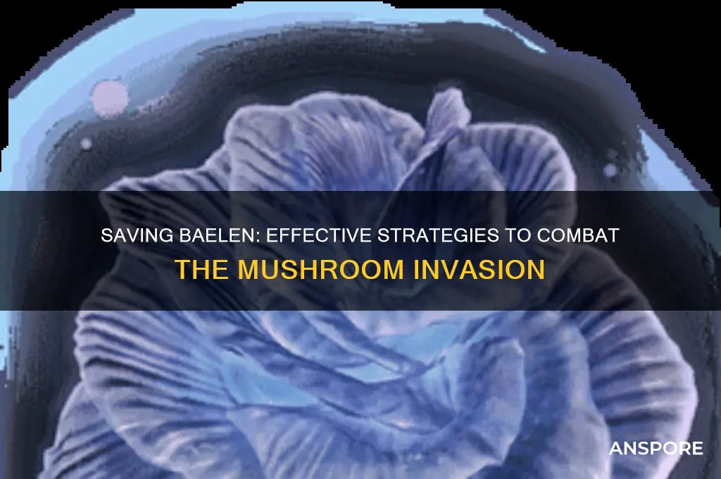 how to save baelen from the mushrooms