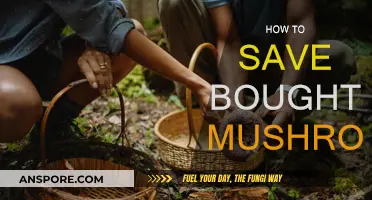 Keep Mushrooms Fresh: Tips for Storing Boughten Fungi