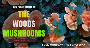 Preserving Chicken of the Woods: Tips for Storing and Saving Mushrooms