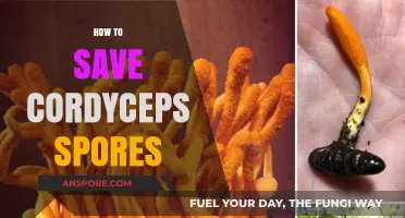 Mastering Cordyceps Spore Preservation: Essential Tips for Long-Term Storage