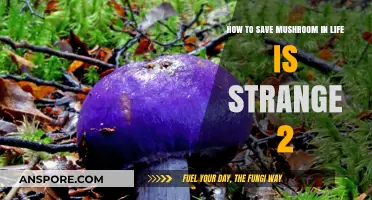 Life is Strange 2 Mushroom Rescue: Essential Tips for Survival