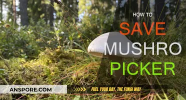 Mushroom Pickers: Stay Safe with These Tips