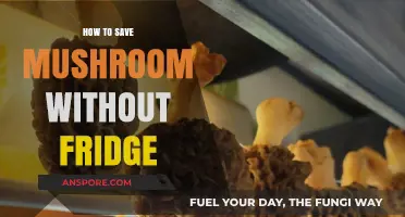 Preserving Mushrooms: Smart Tips for Storing Without a Fridge