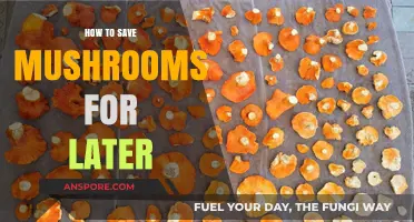 Preserving Mushrooms: Simple Tips for Storing and Saving for Later