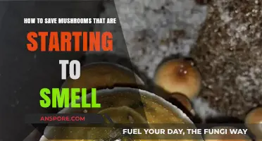 Revive Your Mushrooms: Quick Tips to Stop Smelly Decay