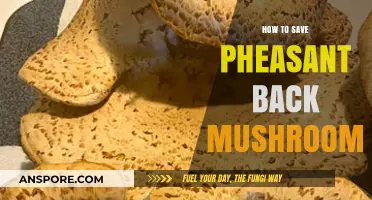Preserving Pheasant Back Mushrooms: Simple Tips for Long-Lasting Freshness