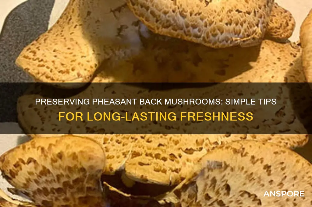 how to save pheasant back mushrooms