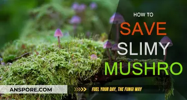 Rescue Slippery Mushrooms: Tips to Save Slime-Covered Fungi