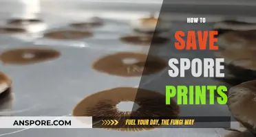 Preserving Spore Prints: Essential Tips for Mushroom Identification and Storage