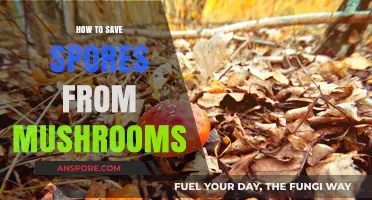 Mastering Mushroom Spore Preservation: A Step-by-Step Guide for Success