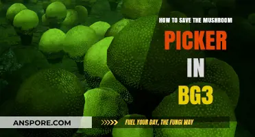 Rescue the Mushroom Picker in Baldur's Gate 3: A Survival Guide