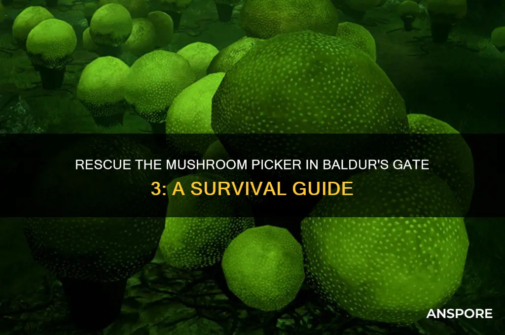 how to save the mushroom picker in bg3