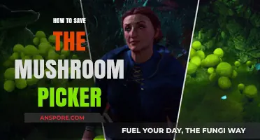 Essential Tips to Safely Rescue a Stranded Mushroom Picker