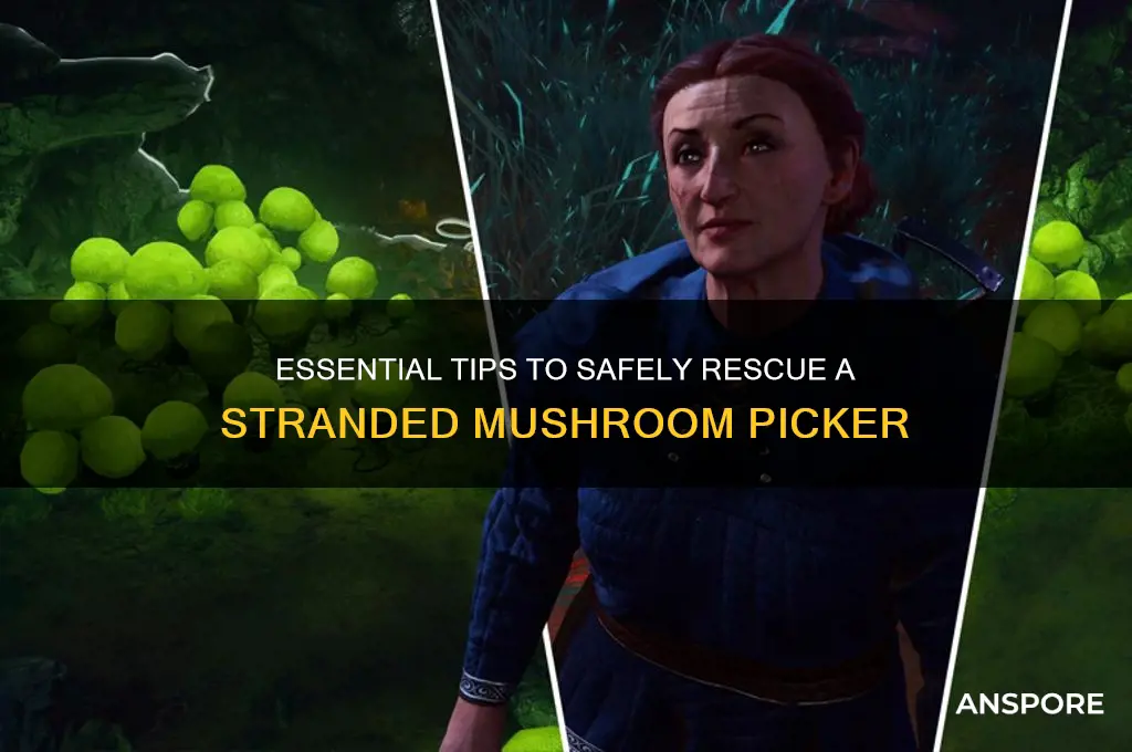 how to save the mushroom picker