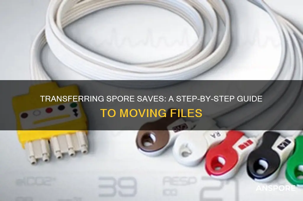 how to save your spore files to another computer