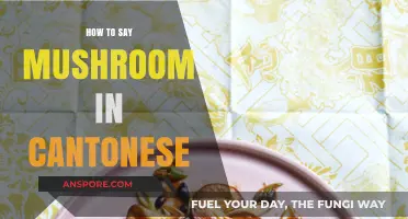 Cantonese Word for Mushroom: A Quick and Easy Pronunciation Guide