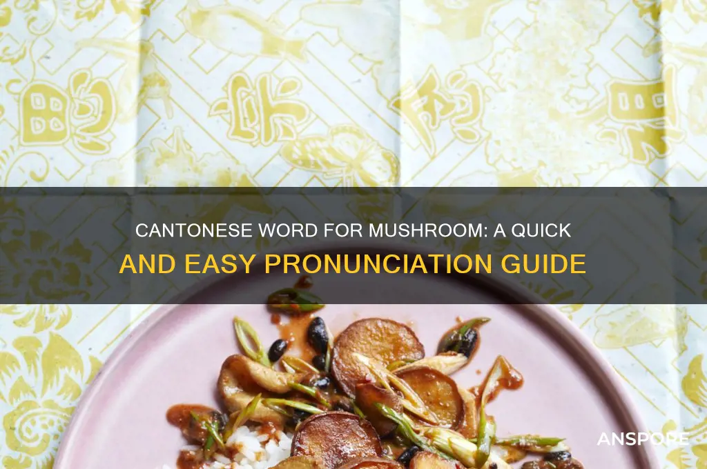 how to say mushroom in cantonese