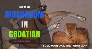 Discover the Croatian Word for Mushroom: A Quick Language Guide