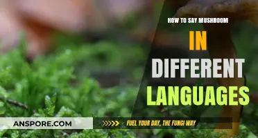 Exploring Global Fungus Names: How to Say Mushroom in Different Languages