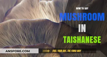 Discover Taishanese: How to Say Mushroom in This Unique Dialect