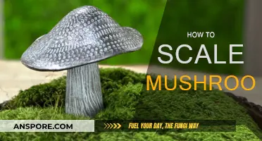 Cultivating Mushrooms: Scaling Techniques for Abundant Growth
