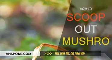 Scooping Mushrooms: The Right Way to Do It
