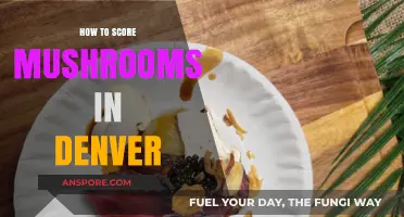 Denver's Mushroom Scene: Tips for Scoring Safely and Legally