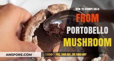 Mastering Portobello Prep: Efficient Gills Removal Techniques for Perfect Mushrooms