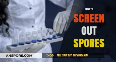 Effective Techniques to Screen Out Spores and Maintain a Clean Environment