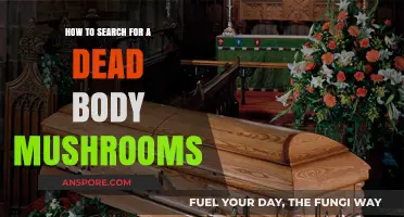 Finding Fatal Fungi: A Guide to Locating Dead Body Mushrooms