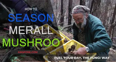 The Magic of Merall Mushrooms: Perfect Seasoning Techniques