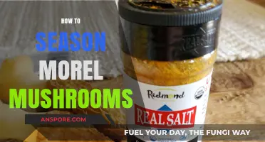 Mastering Morel Seasoning: Tips for Perfectly Flavored Wild Mushrooms